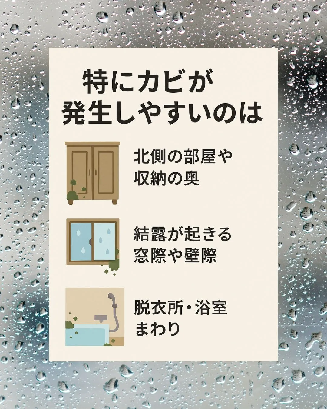 湿気とカビから家族を守る！室内のカビ＆湿気対策の新常識